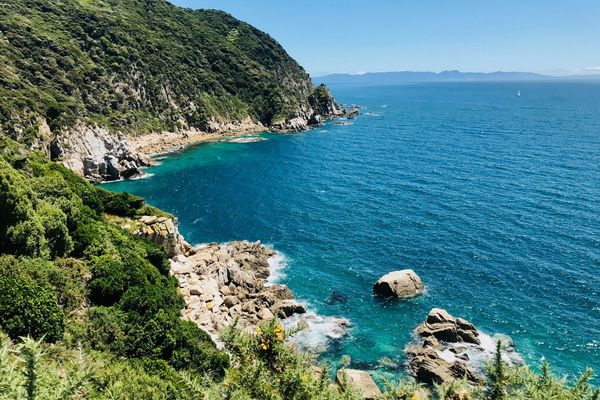 Crystal-clear emerald river winding through native New Zealand rainforest on the Abel Tasman walking trail